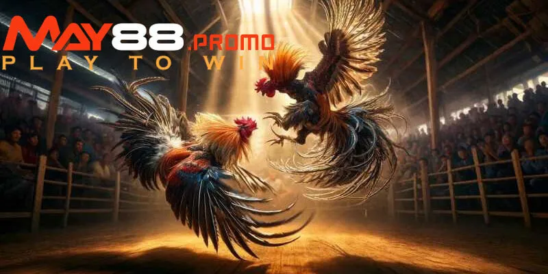 Tỷ lệ trả thưởng của nhà cái nâng cao cơ hội kiếm tiền cho khách hàng